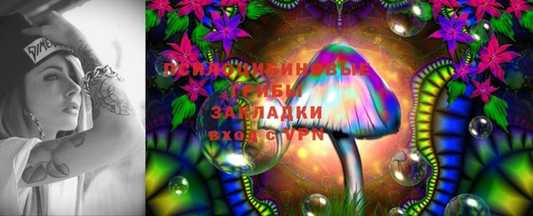 MDMA Premium VHQ Горнозаводск